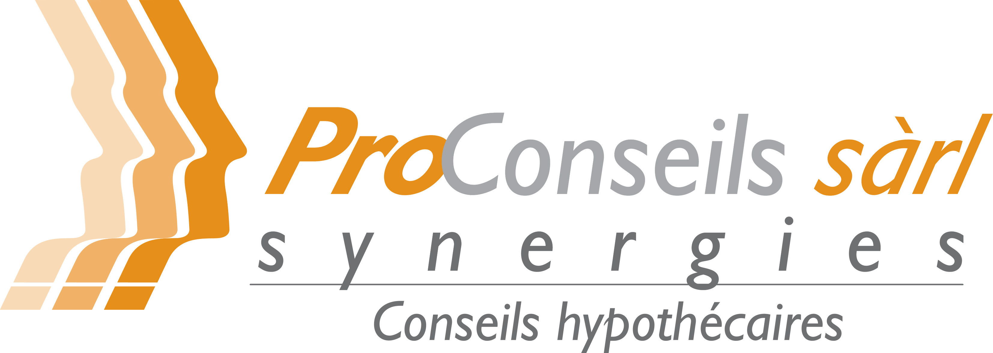 ProConseils Synergies